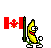 Canadian Flag Banana emoticon (Banana Emoticons)