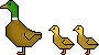 Duck emoticon (Bird emoticons)
