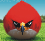 real life angry bird smiley