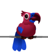 Singing Parrot animated emoticon