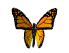 butterfly-smiley-emoticon.gif