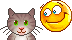 Brown cat animated emoticon