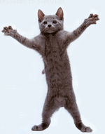 Dancing Cat emoticon (Cat emoticons)