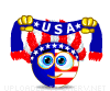 smiley of usa supporter