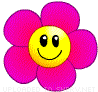 smiley of flower pink
