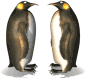 Penguin Cuddle emoticon (Penguin emoticons)
