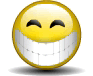 Animated MSN Big Grin smiley (Smiling emoticons)