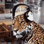 Leopard Wearing Headphones